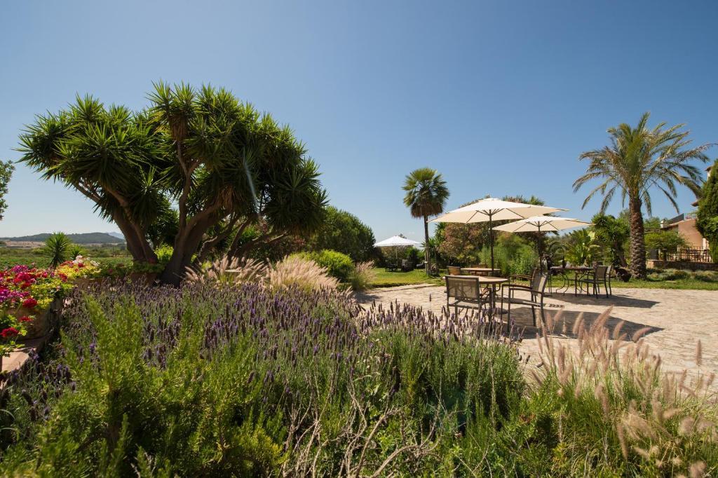 Agroturismo Can Feliu Поррерас Екстер'єр фото